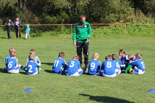 九游体育官网-澳大利亚队如何通过团队赛制战术，在大赛中脱颖而出，澳大利亚队伍